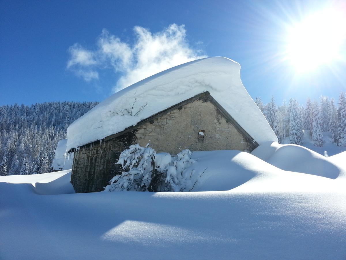 Alpine Smart Residence Folgaria Exterior foto