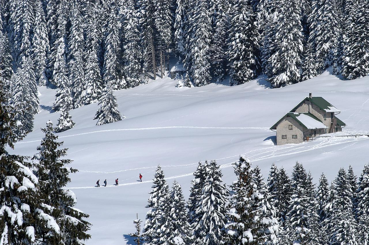 Alpine Smart Residence Folgaria Exterior foto